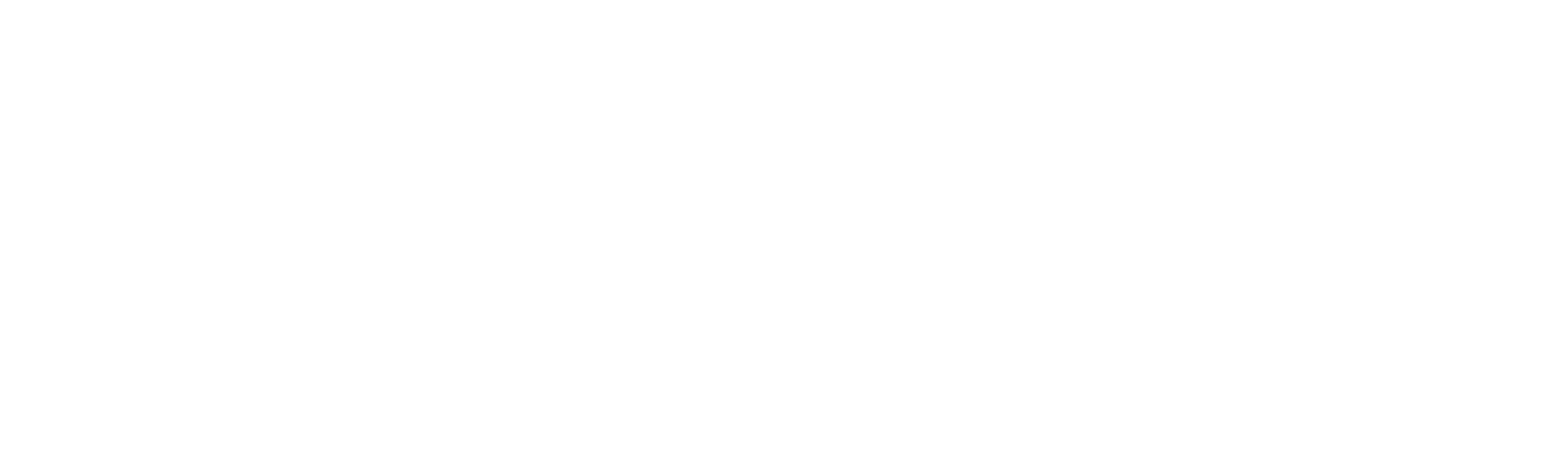 VF Logo - WHITE